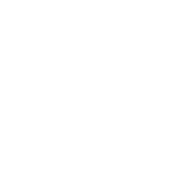 Быстрая доставка