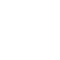 Профессиональные консультации